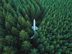 Plane Crash Between Trees Photo