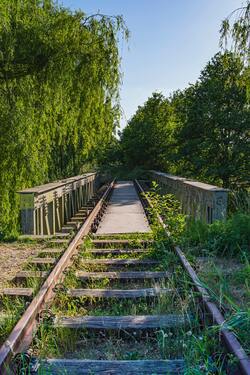 Railway Track Around Tree