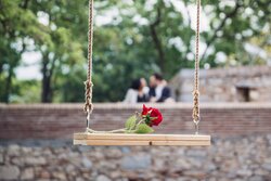 Red Rose on Swing