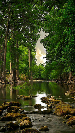 River in Forest Nature Click