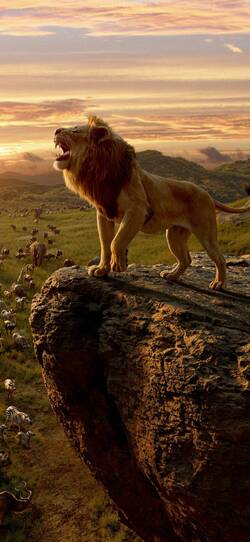 Roaring Lion on Rock Mobile Pic