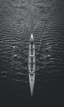 Rowing Sport Photo