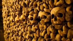 Skulls Horror Wall