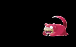 Slowpoke Pokemon Species Cartoon Photo