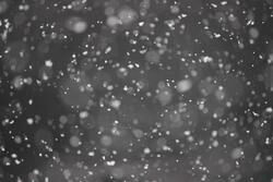 Snowfall Abstract Photo