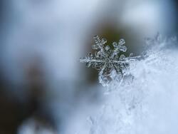 Snowflake Winter HD Pictures