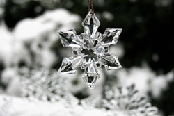 Snowflakes in Winter