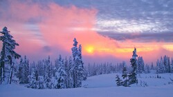 Snowy Weather With Sunrise