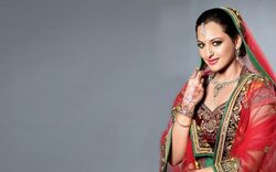 Sonakshi Sinha in Dulhan Dress