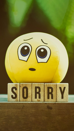 Sorry Saying