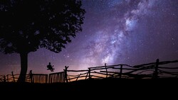 Star Sky Swing Tree Night View