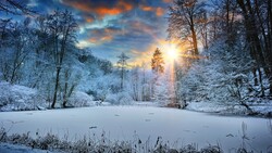 Sunbeams Landscape Snow in Winter 4K