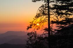 Sunset View Between Tree Branch