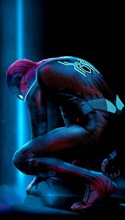 Superhero Spider Man Mobile Photo