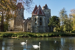 Swan Bird at Schloss Pottendorf Castle Lake in Pottendorf Austria Photo