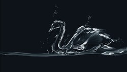 Swan Water Creative Wallpaper