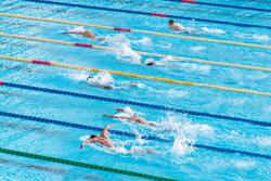 Swimming Race Sport 4K Wallpaper