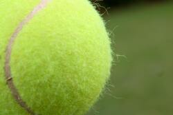Tennis Ball Macro Photography