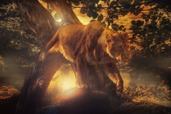 The Lion on Tree Fantasy Photo