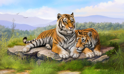 The Tiger Family