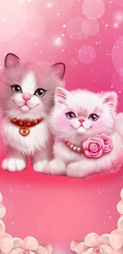 Twins Cat Pink Background Mobile Image