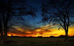 Typical Nature Scene at Sunset