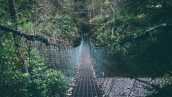 Walking Bridge 4K Wallpaper