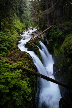 Waterfall in Forest Mobile Photo