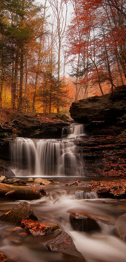 Waterfall in Jungle