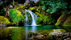 Waterfall Nature 4K