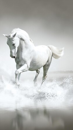 White Horse Running on Water