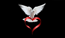 White Pigeon with Red Heart