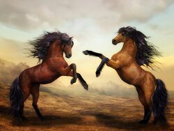 Wild Horses Background Wallpaper