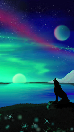 Wolf Night Fantasy Pic