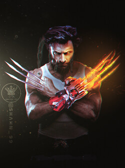 Wolverine Superhero Pic