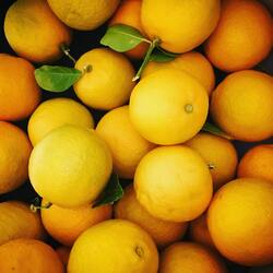 Yellow Orange Fruit Pic