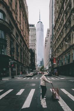 Zebra Crossing in City Road Wallpaper